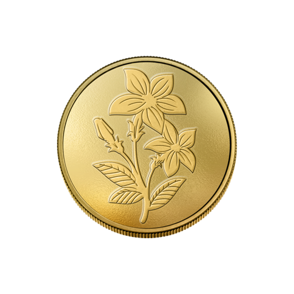 20g Gold Coin (999.9)